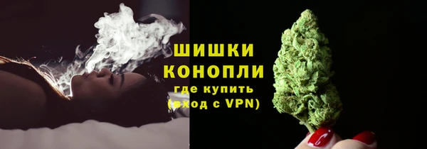 ПСИЛОЦИБИНОВЫЕ ГРИБЫ Новозыбков