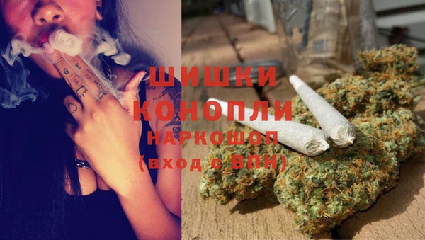 стаф Нягань
