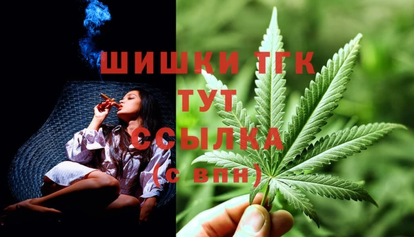 меф Няндома