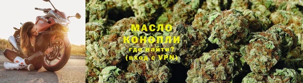 ПСИЛОЦИБИНОВЫЕ ГРИБЫ Новозыбков