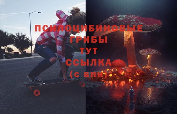 меф Няндома