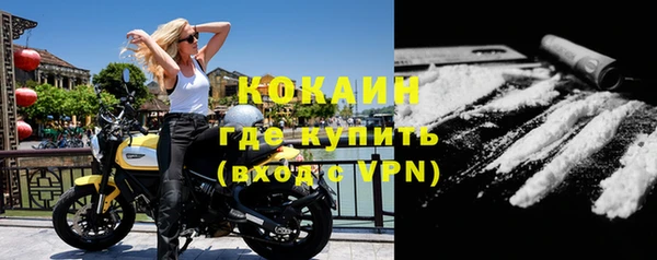 ПСИЛОЦИБИНОВЫЕ ГРИБЫ Новозыбков