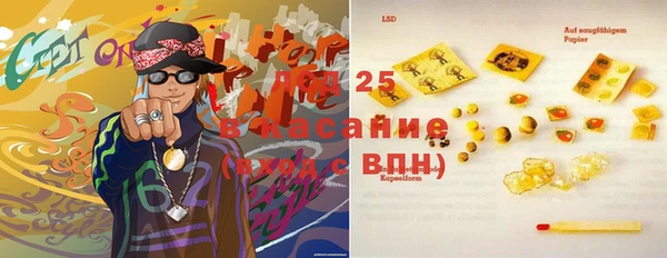 ПСИЛОЦИБИНОВЫЕ ГРИБЫ Новозыбков