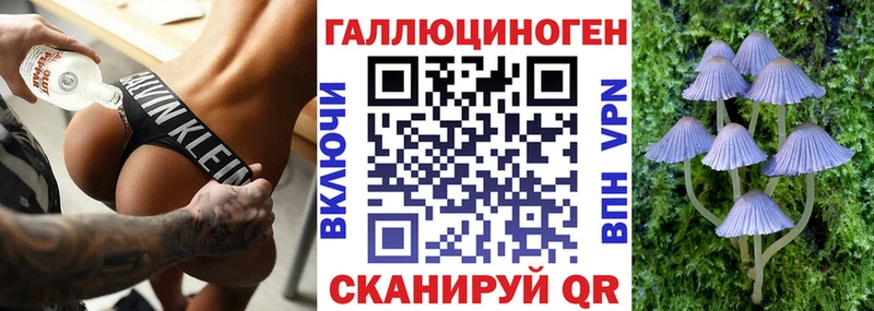 Галлюциногенные грибы Psilocybe  Богучар 